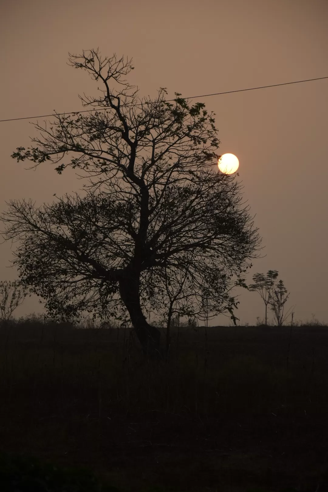 Photo of Kabini River Lodge By Sriram Singh