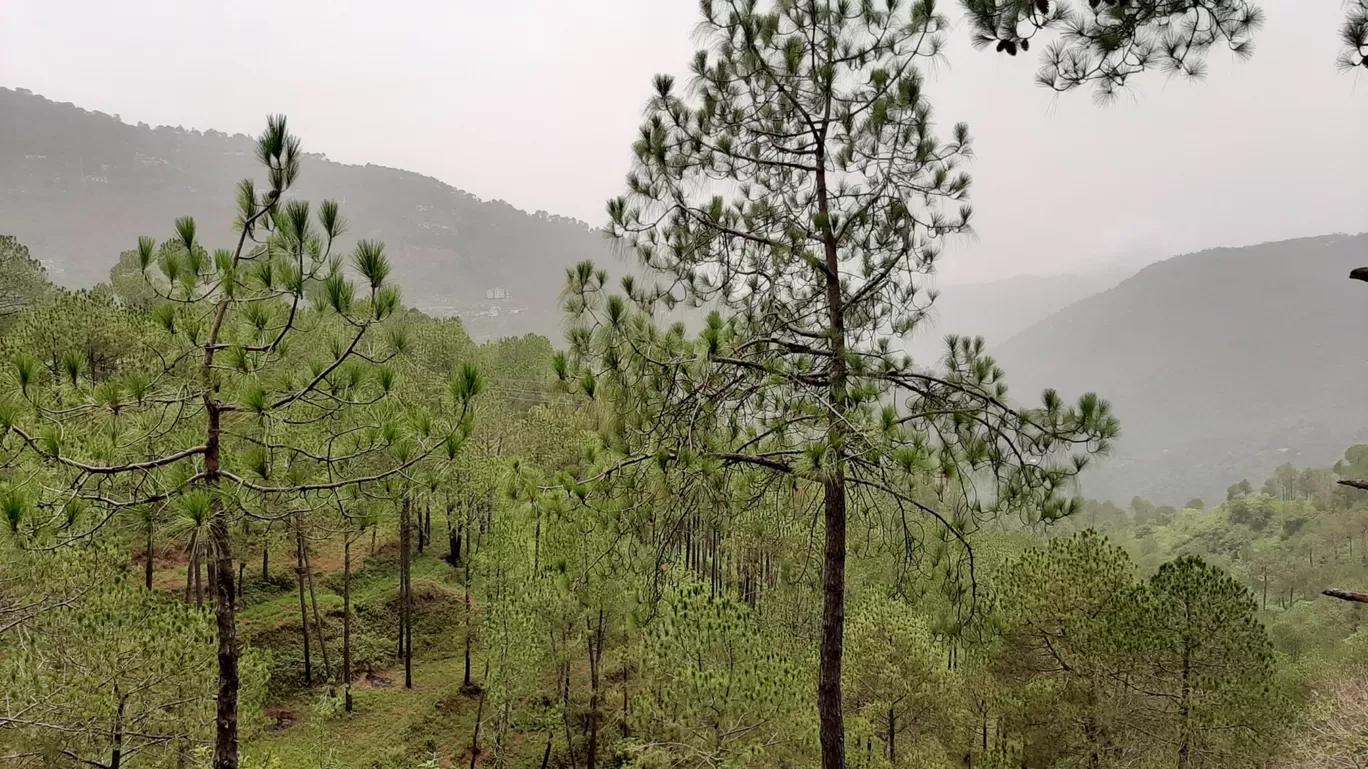 Photo of Kasauli By Aryan Tyagi (NISCHAL)