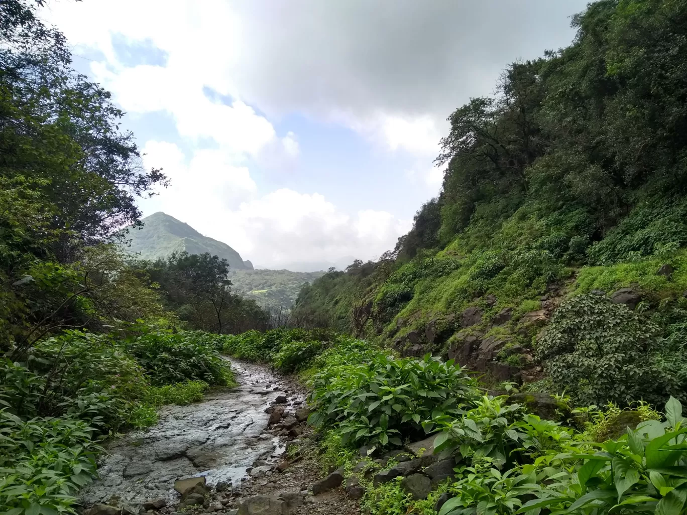 Photo of Andharban Trek By Pooja Bhosale