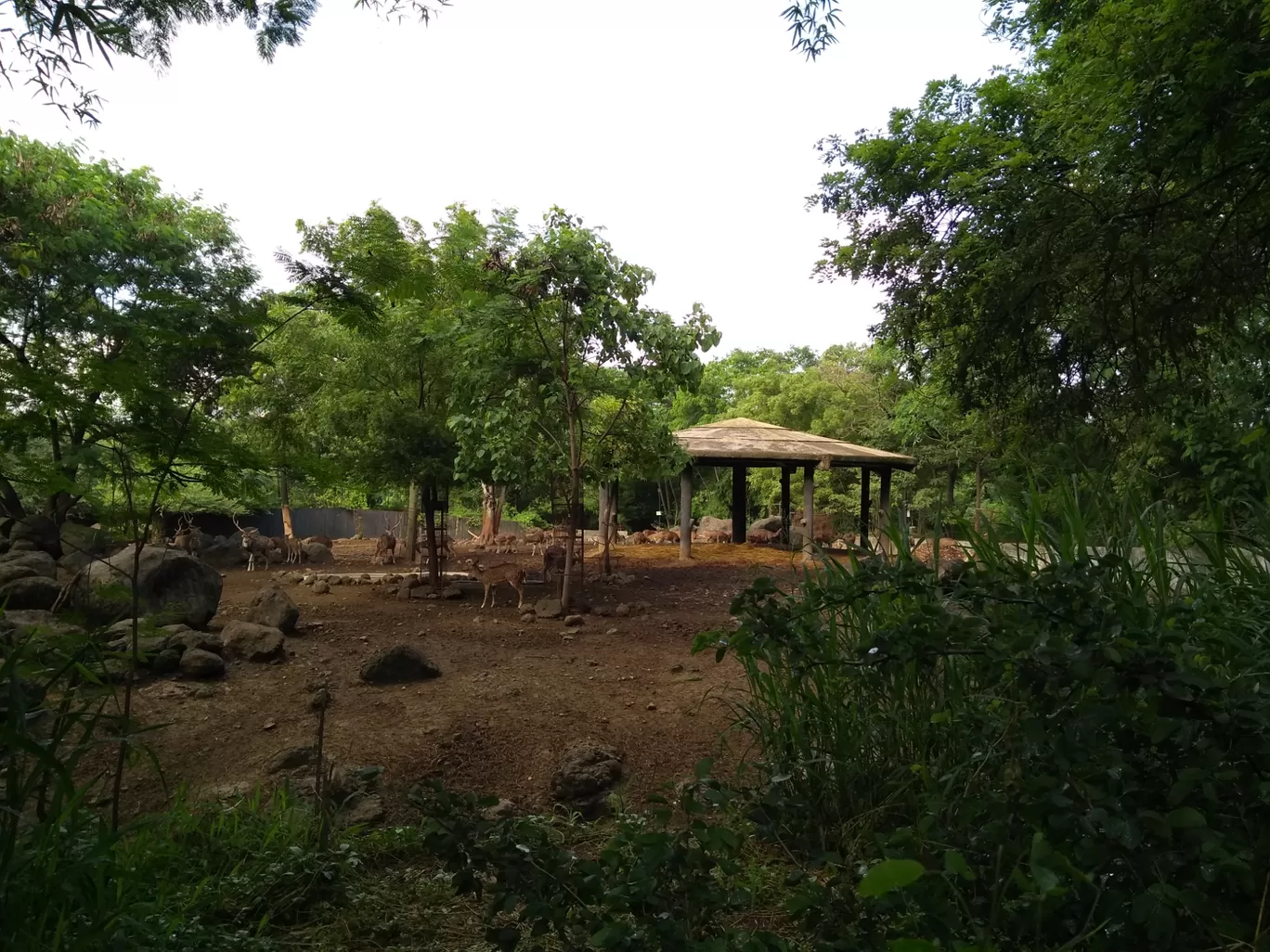Photo of Rajiv Gandhi Zoological Park By Pooja Bhosale