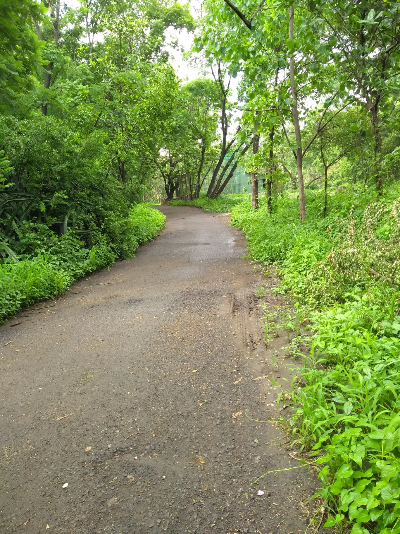 Photo of Rajiv Gandhi Zoological Park By Pooja Bhosale