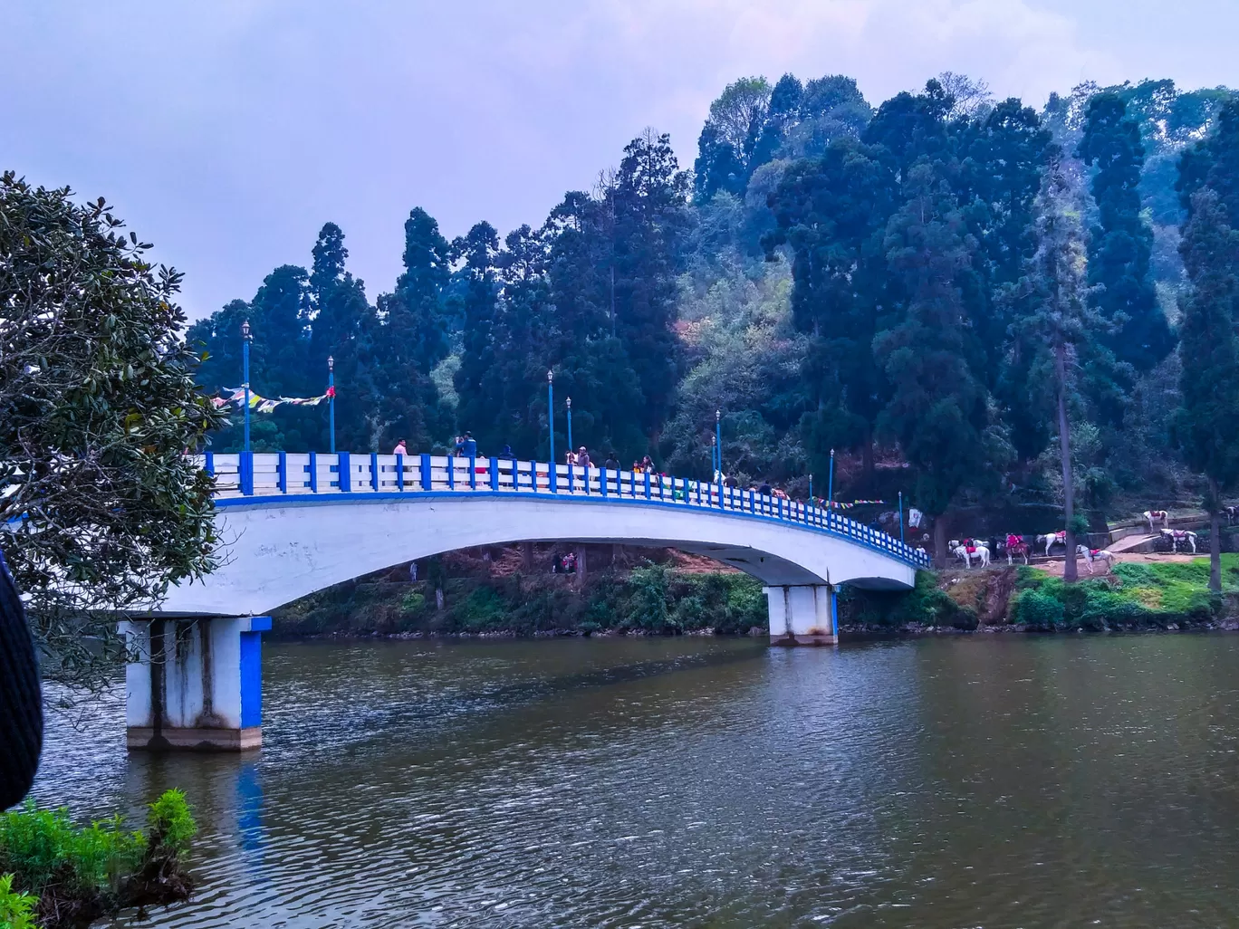 Photo of Darjeeling By Travelling Engineer