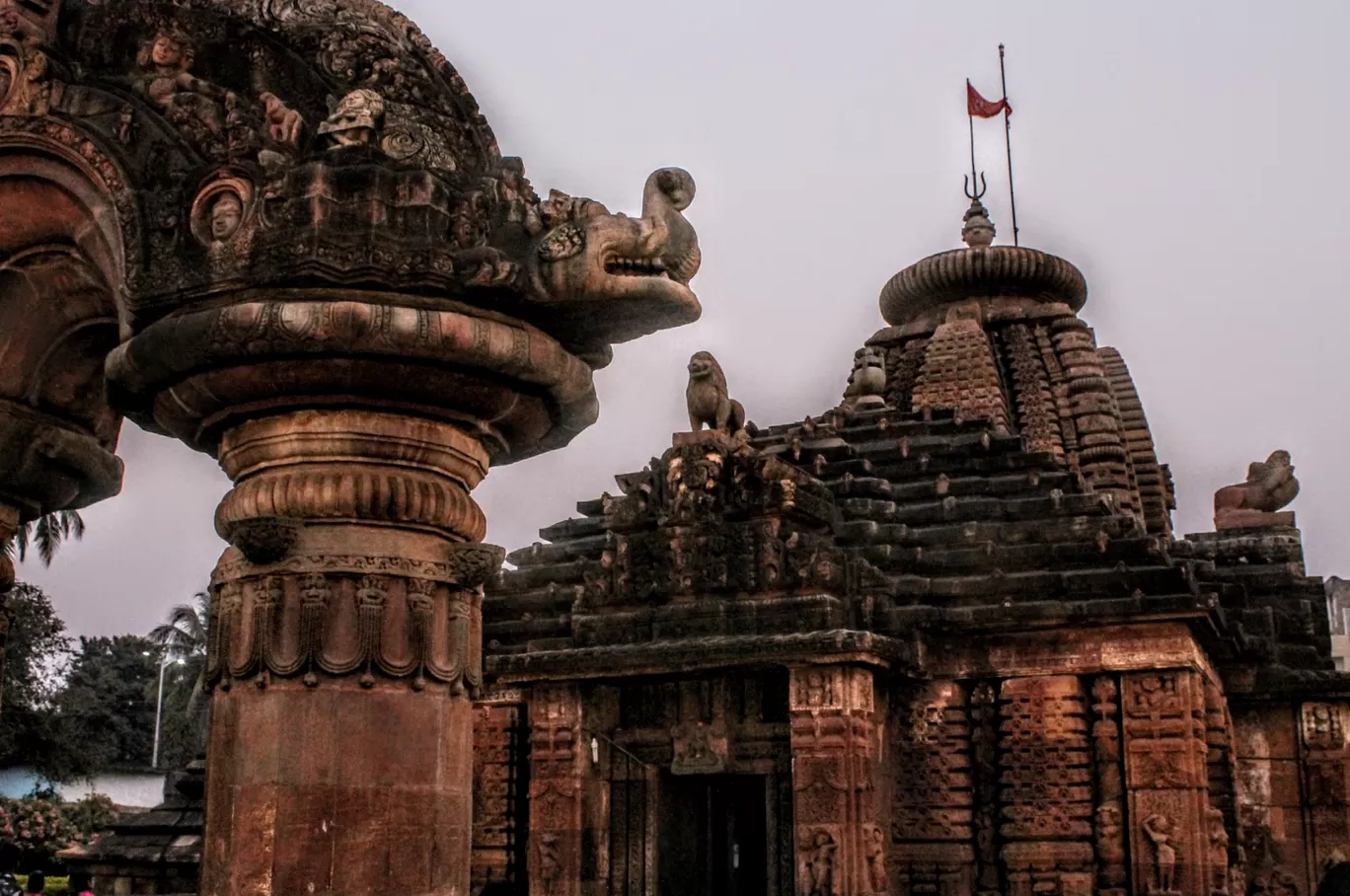 Photo of Orissa By Ankita Gupta