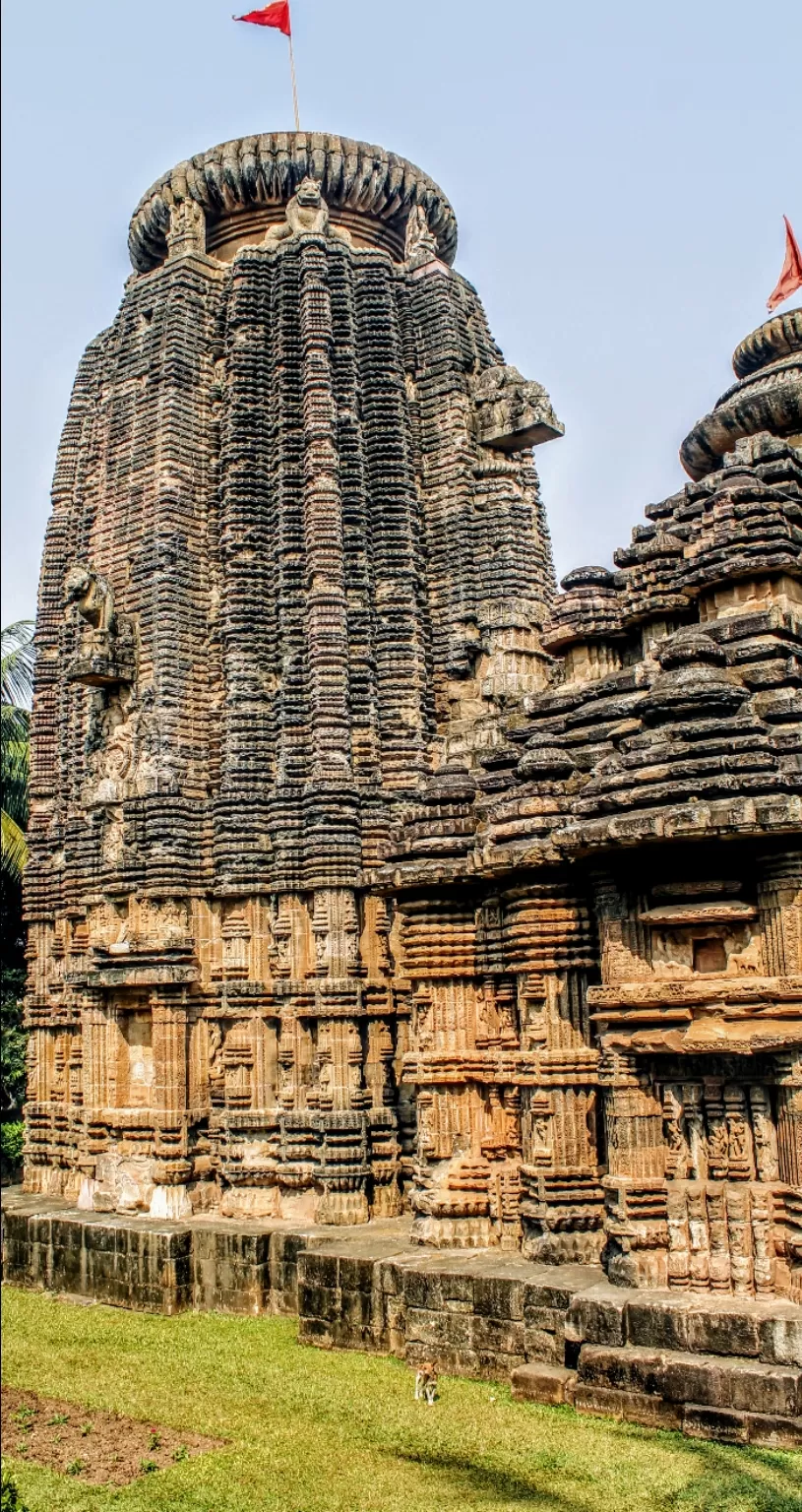 Photo of Orissa By Ankita Gupta