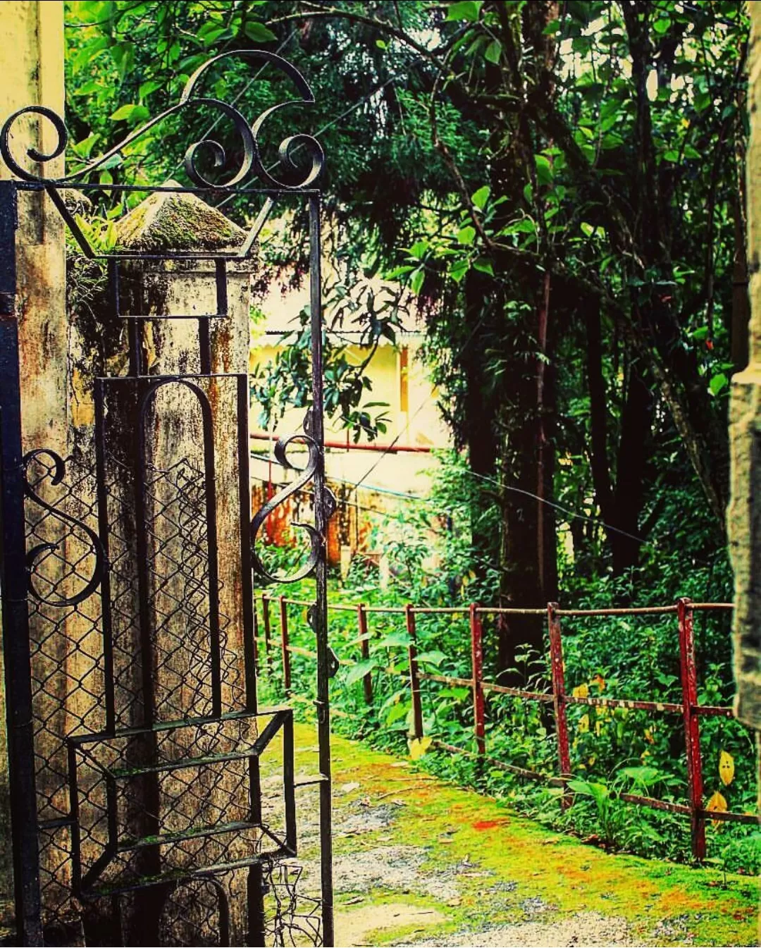 Photo of Darjeeling By Ankita Gupta