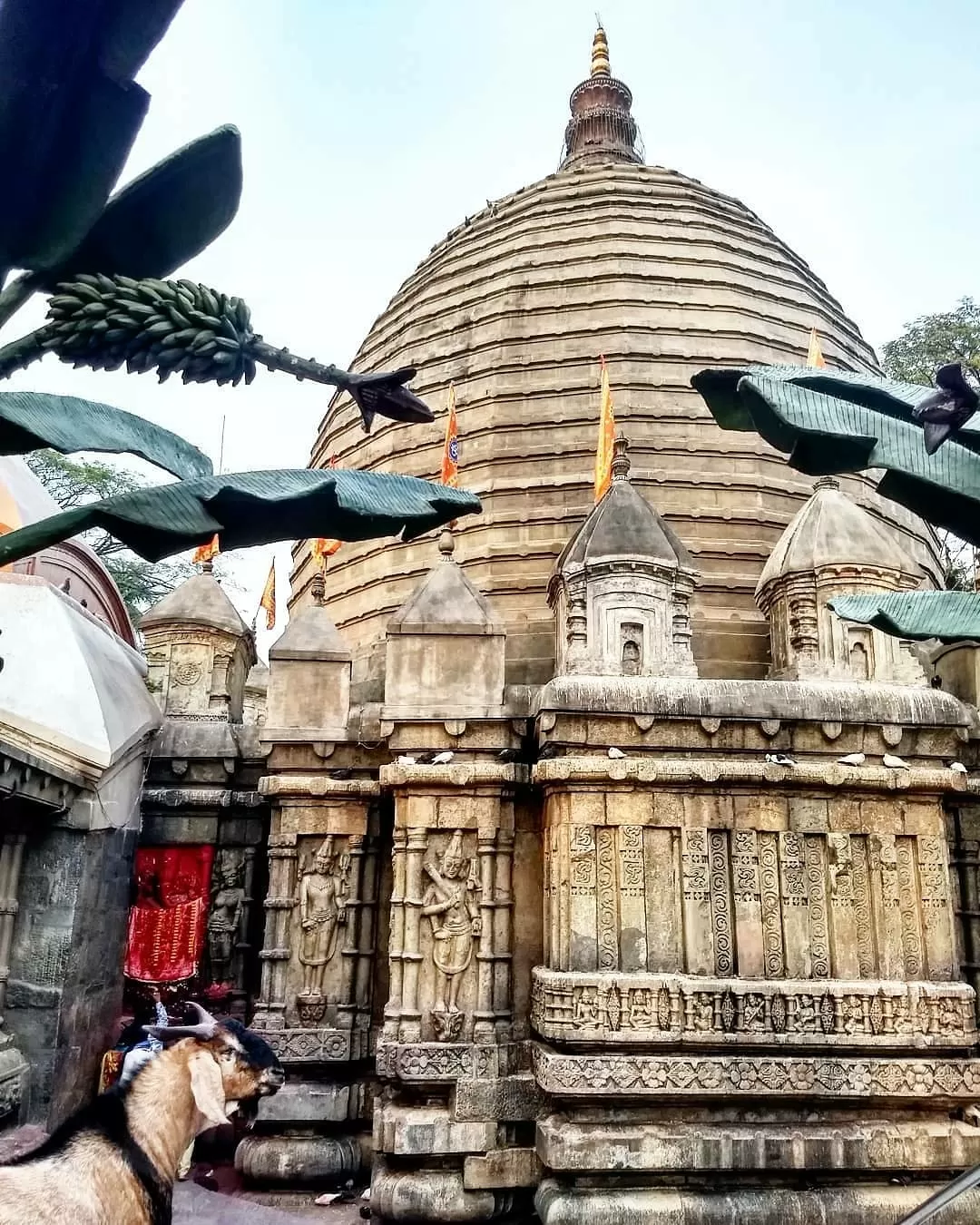 Photo of Guwahati By Ankita Gupta