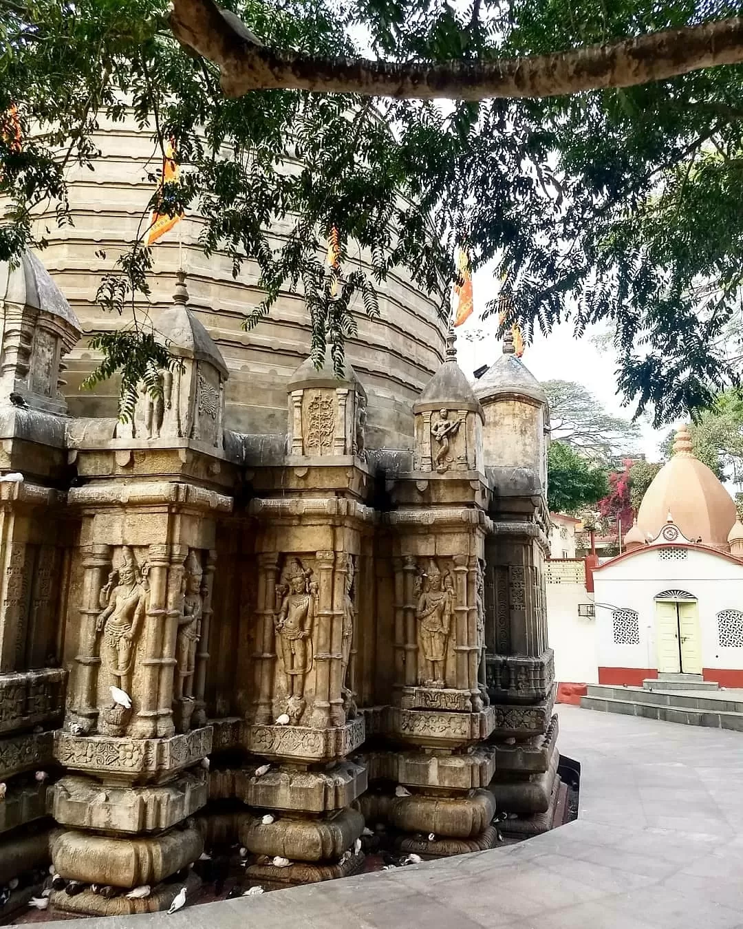Photo of Guwahati By Ankita Gupta