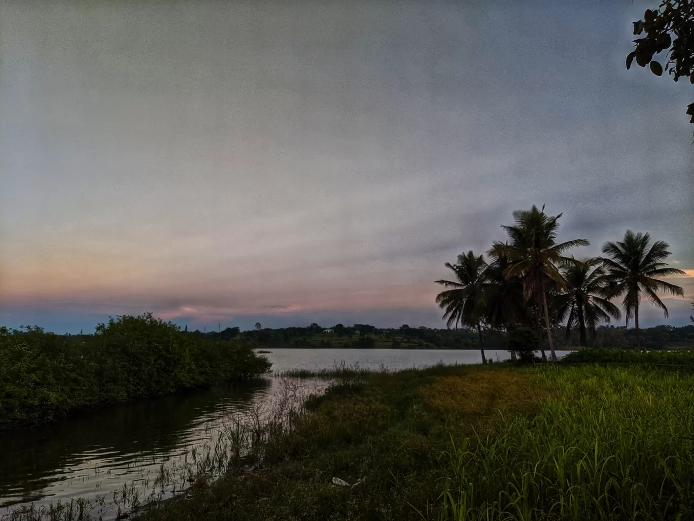 Photo of KRS BACK WATER By Dhiraj Malode
