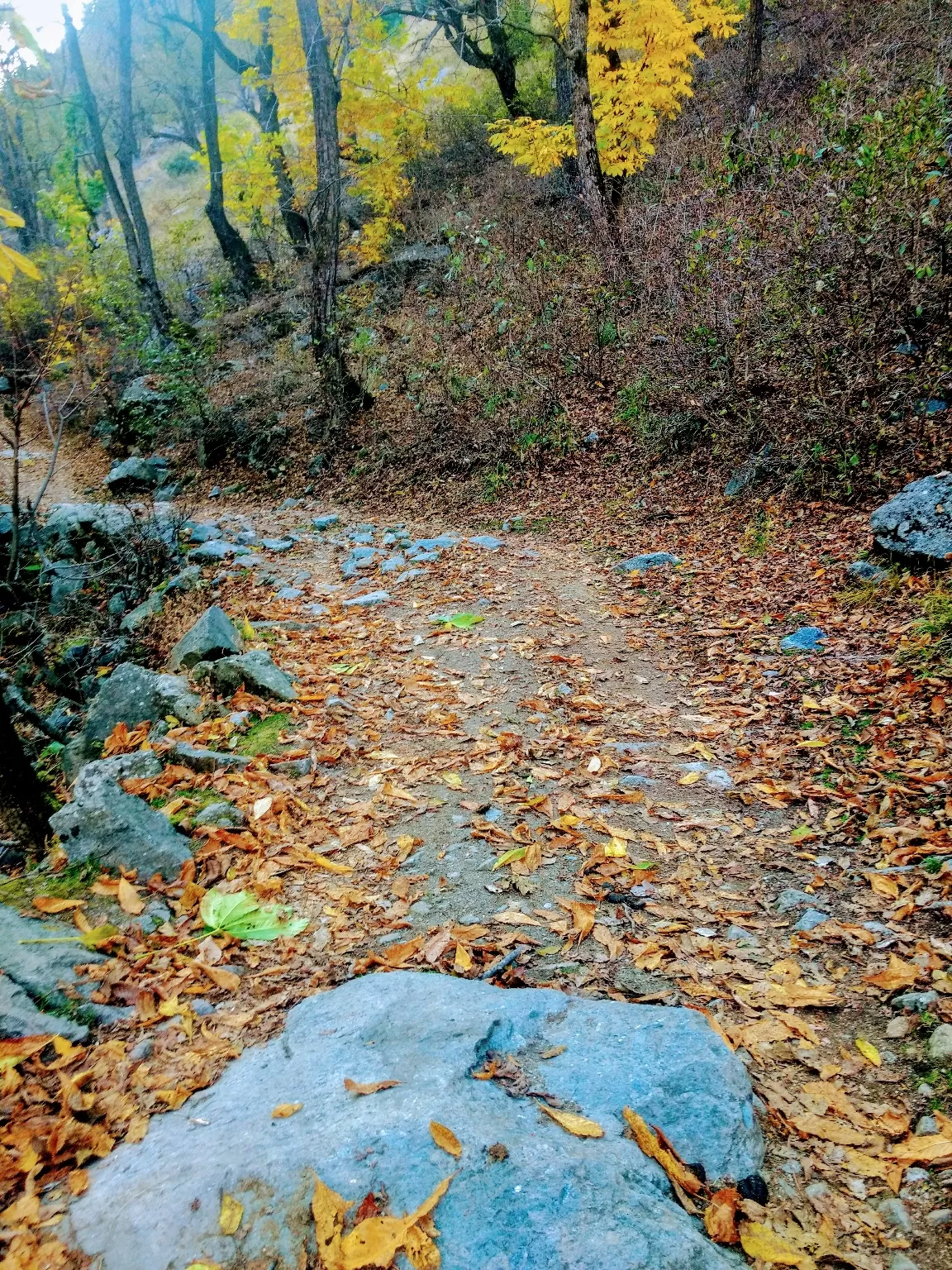 Photo of Tarsar Lake By BALJEET SINGH