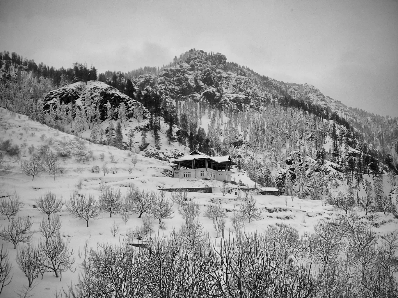 Photo of Chopal By Harsh Kalta