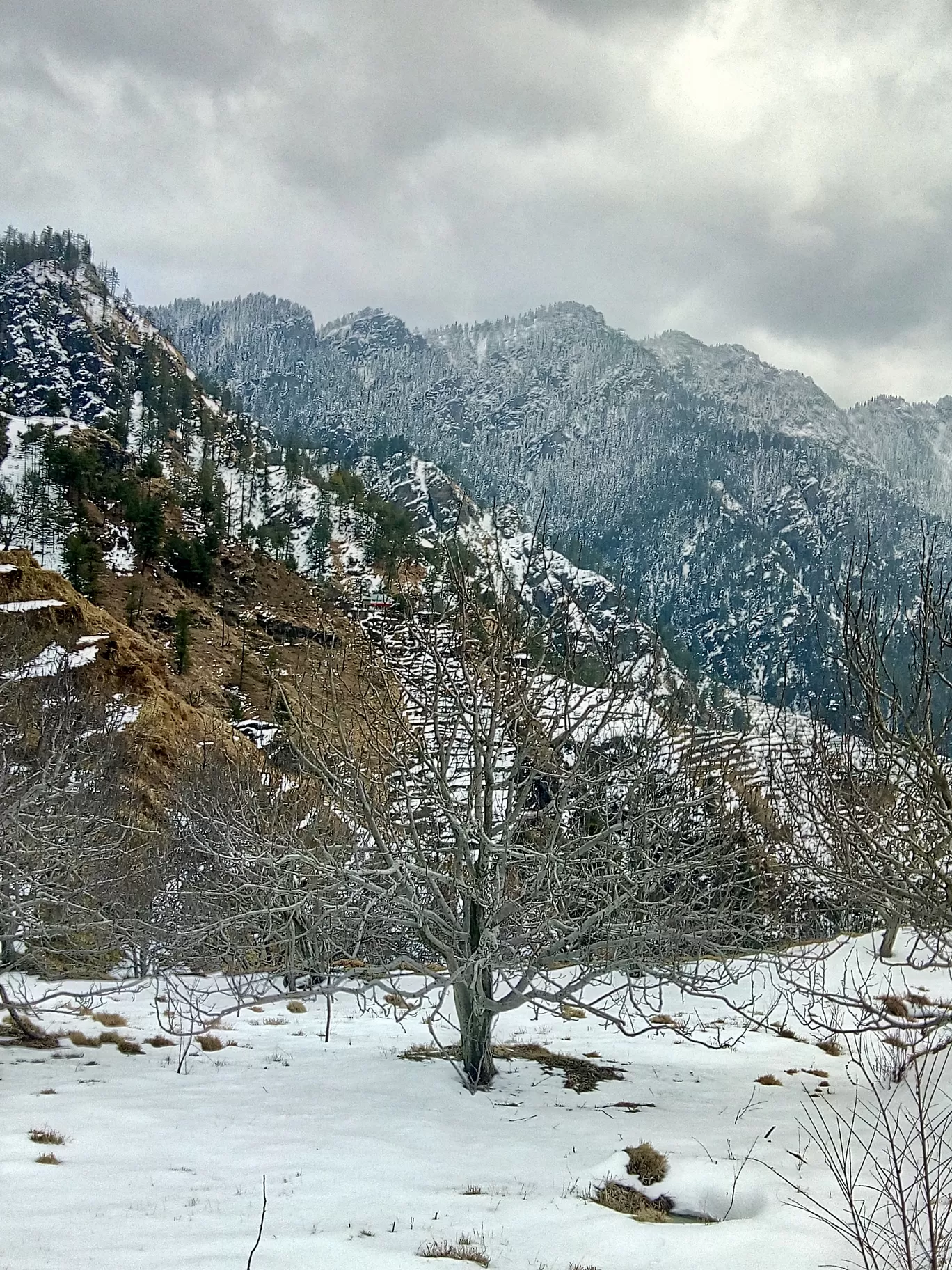 Photo of Chopal By Harsh Kalta