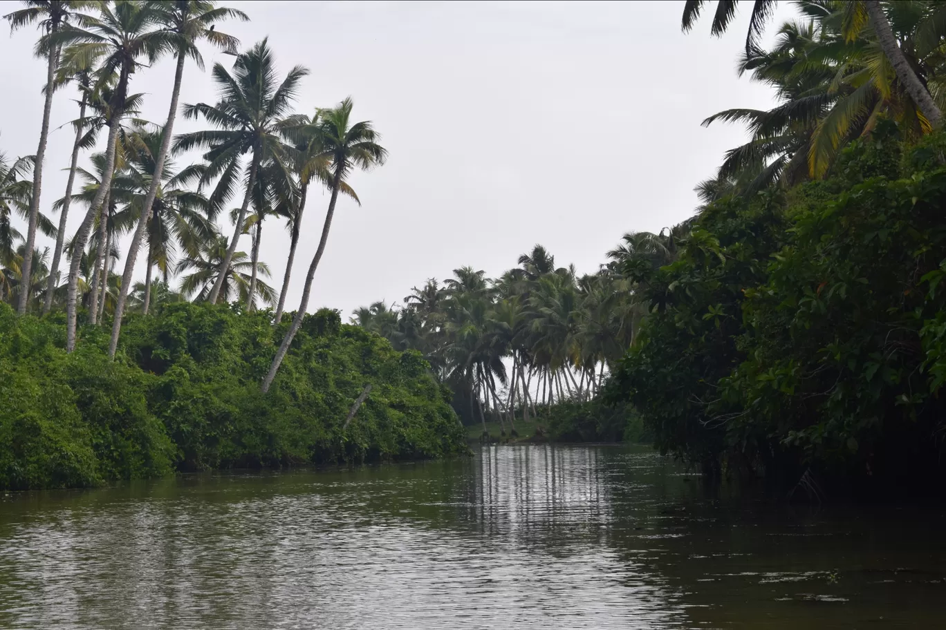 Photo of Kerala Backwaters By Kartik Sehgal