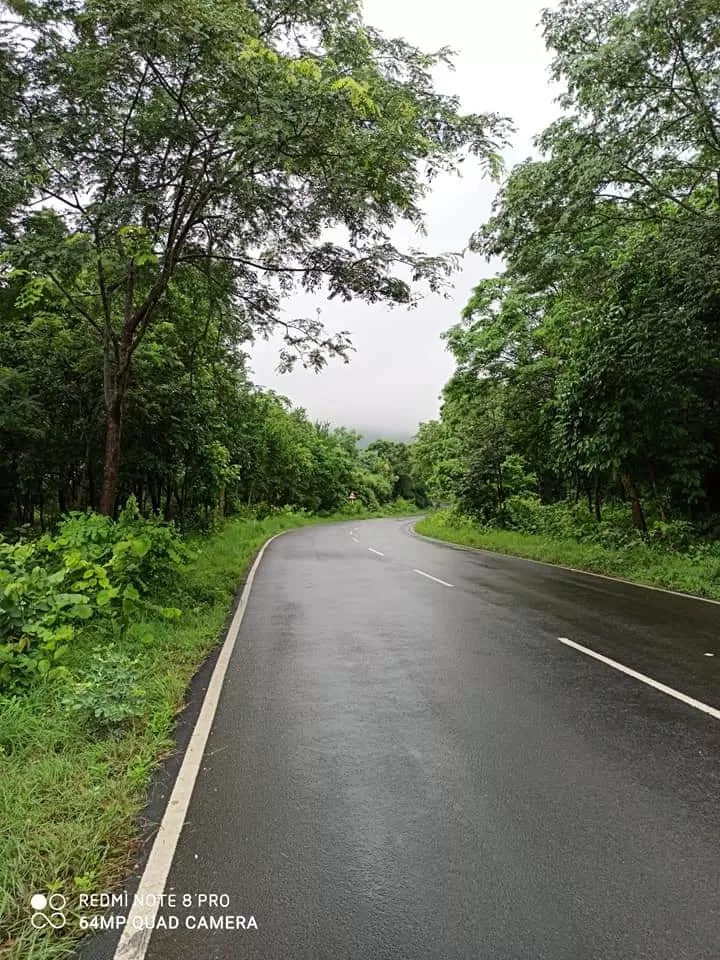 Photo of Nallamala Forest By Koteswara Reddy G