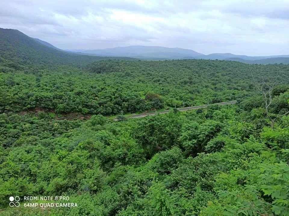 Photo of Nallamala Forest By Koteswara Reddy G