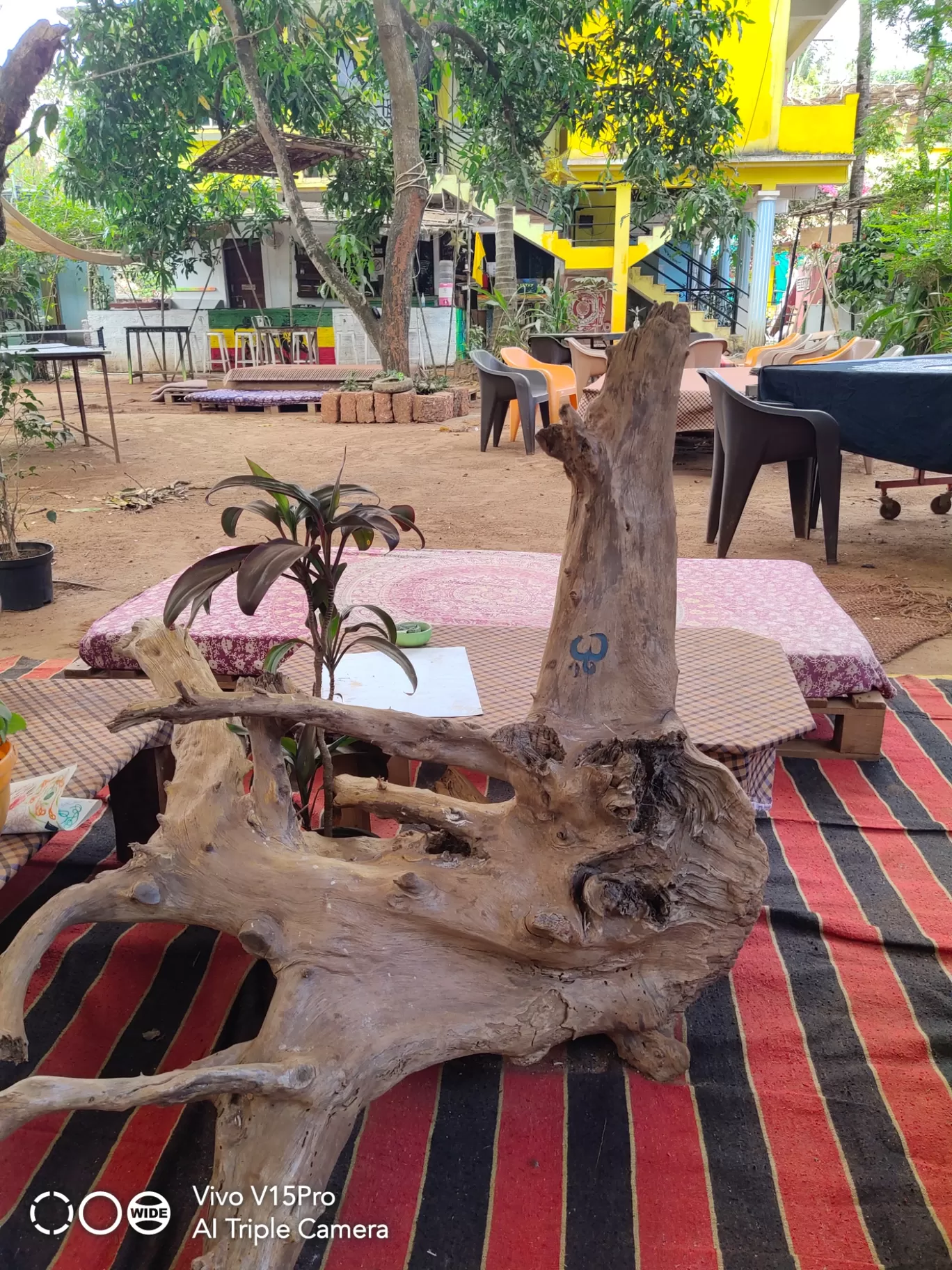 Photo of Arambol By Frida D'souza