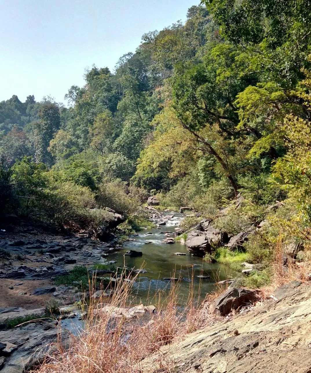 Photo of Dandeli By Kiran 