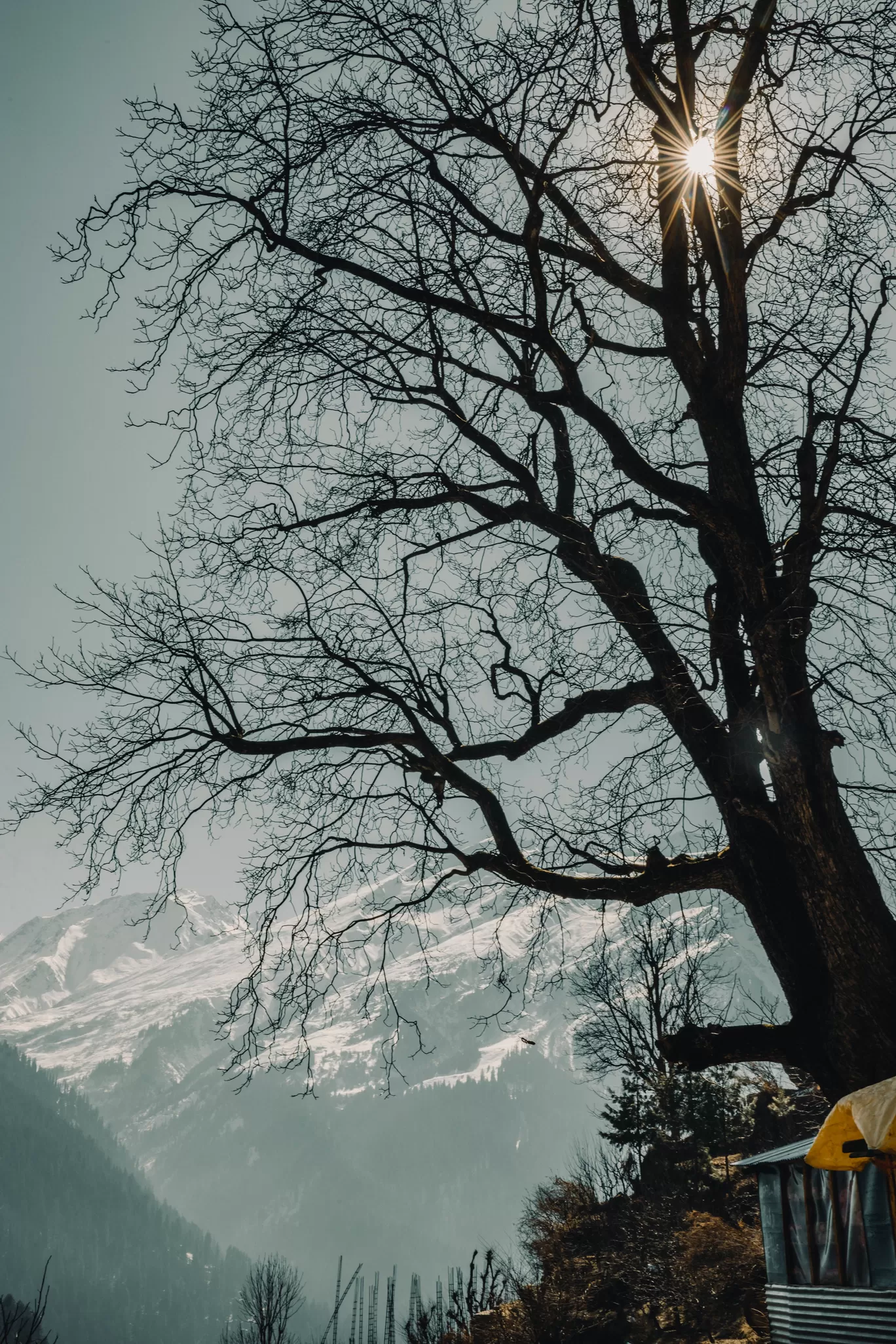 Photo of Himachal Pradesh By Sambodhi Bansal