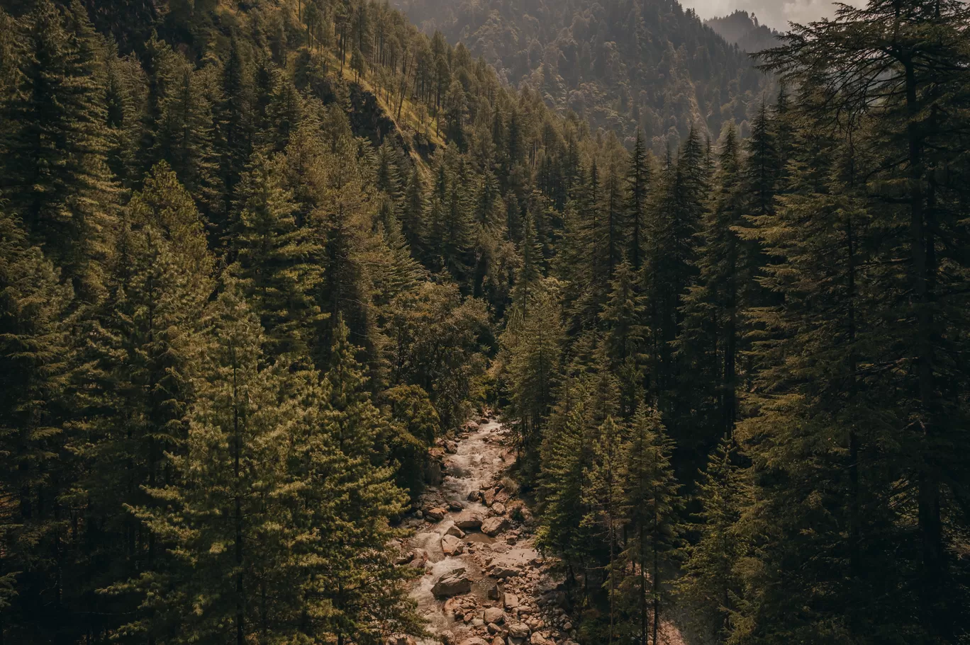 Photo of Manali By Sambodhi Bansal