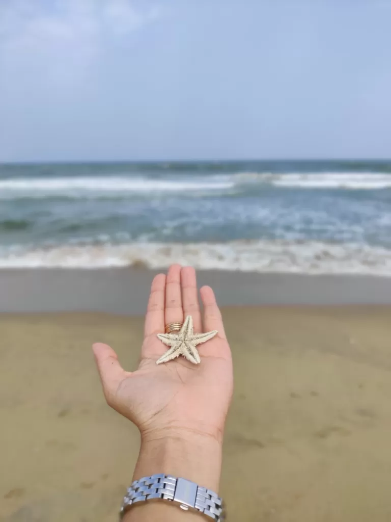 Photo of Chennai By Divyangna Parikh