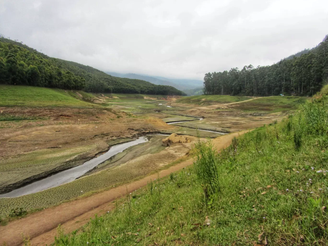 Photo of Munnar By Sowmiya Mankala