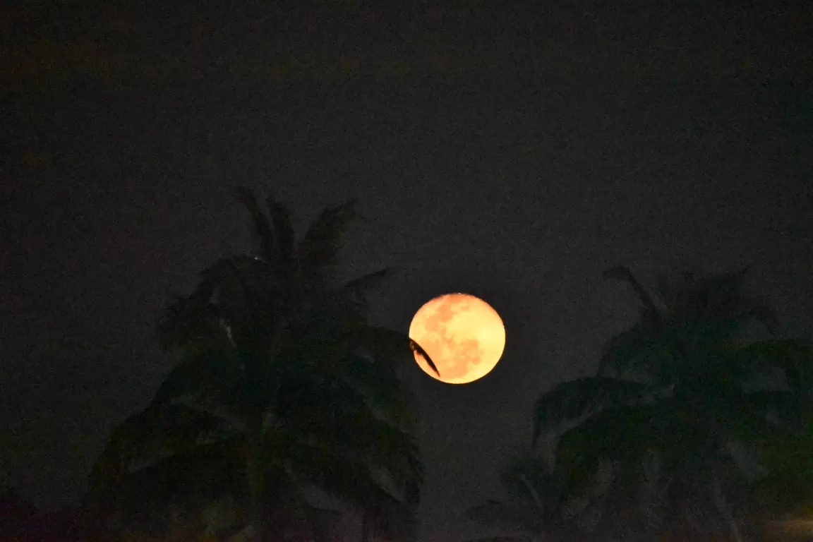 Photo of Goa By Sowmiya Mankala