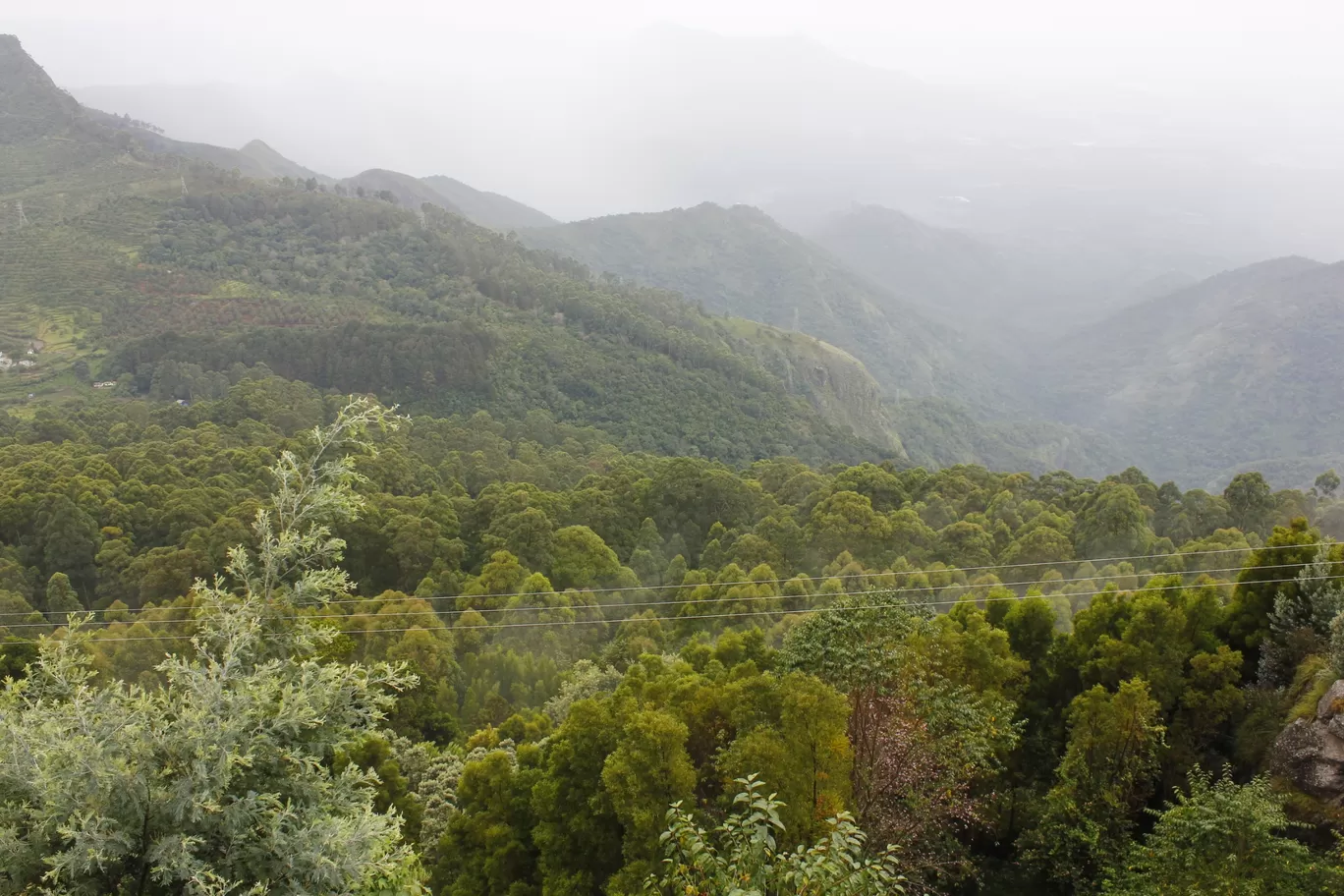 Photo of Kodaikanal By Vikash