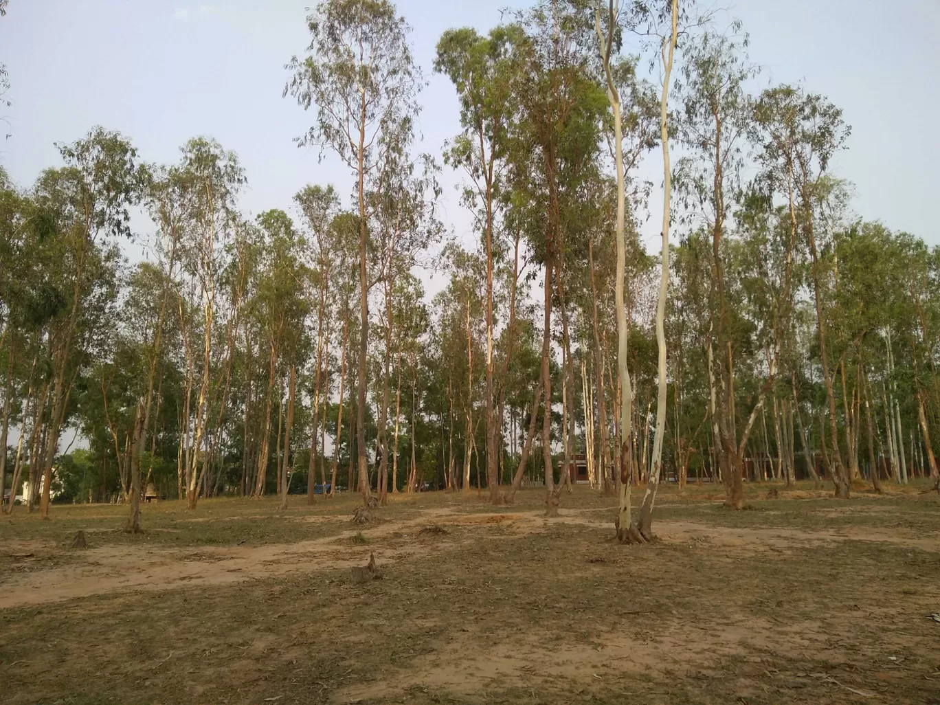 Photo of Bolpur Shantiniketan By Kasturi Mitra