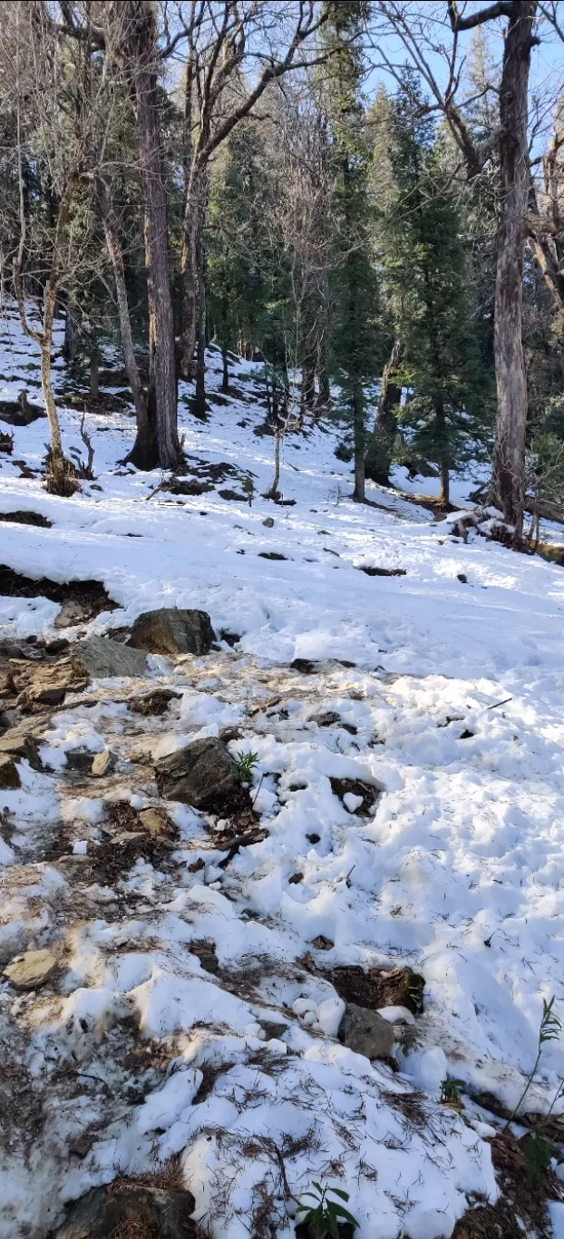 Photo of Kedarkantha Peak By Soham Naik