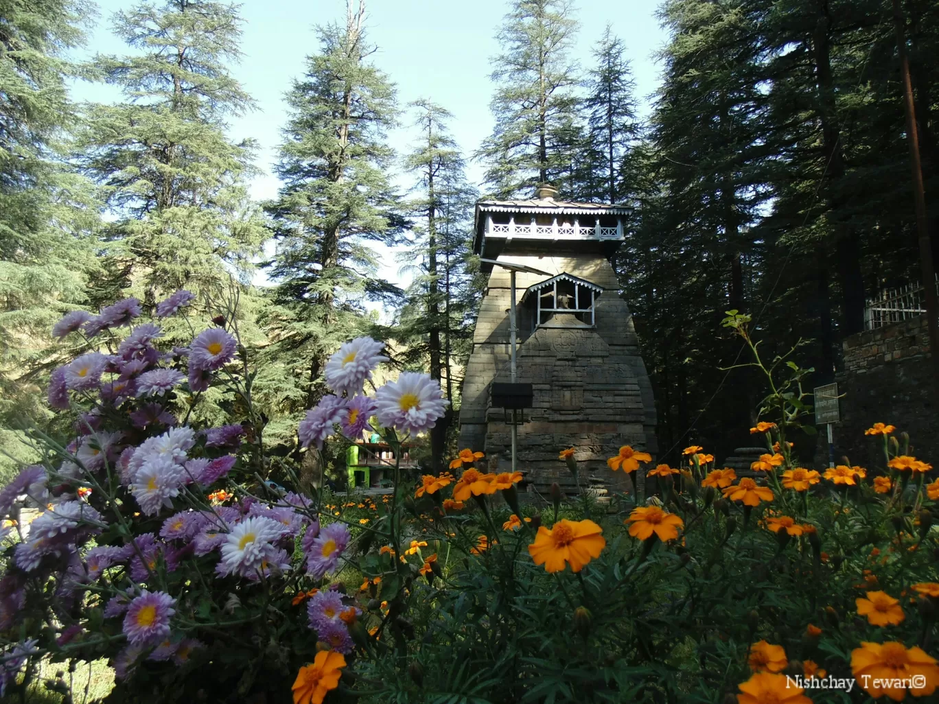 Photo of Dandeshwar Temple By Nishchay Tewari