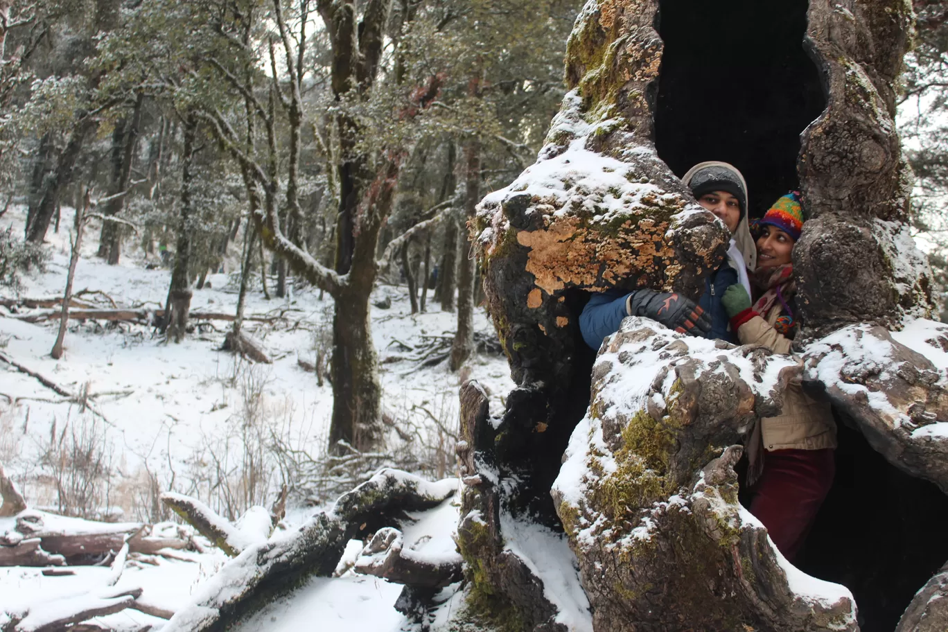 Photo of Nagtibba Trek/ Trekking By 2itchyfeets