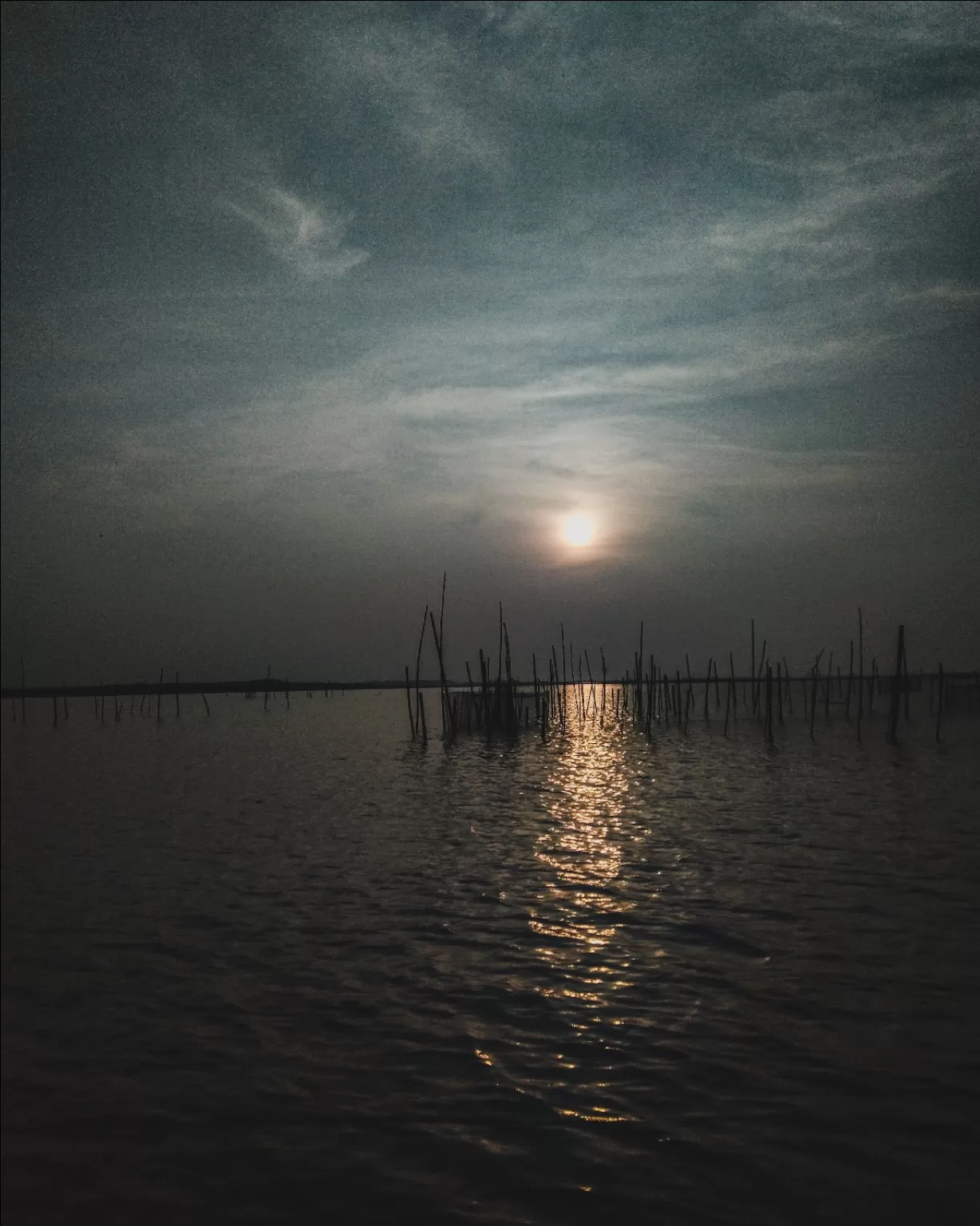 Photo of Chilka By Chandrika Pyne