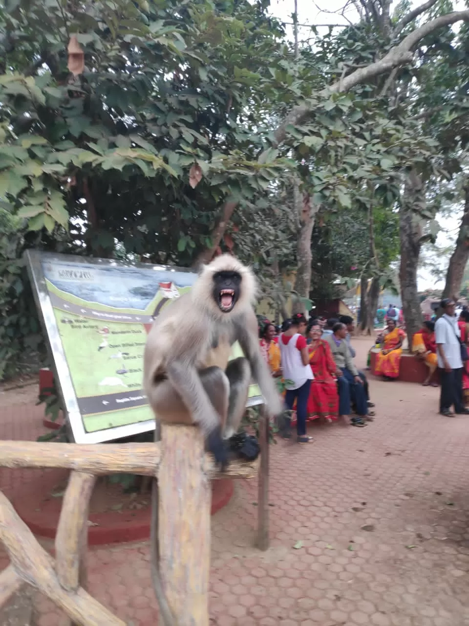 Photo of Nandankanan Zoological Park By Chandrika Pyne