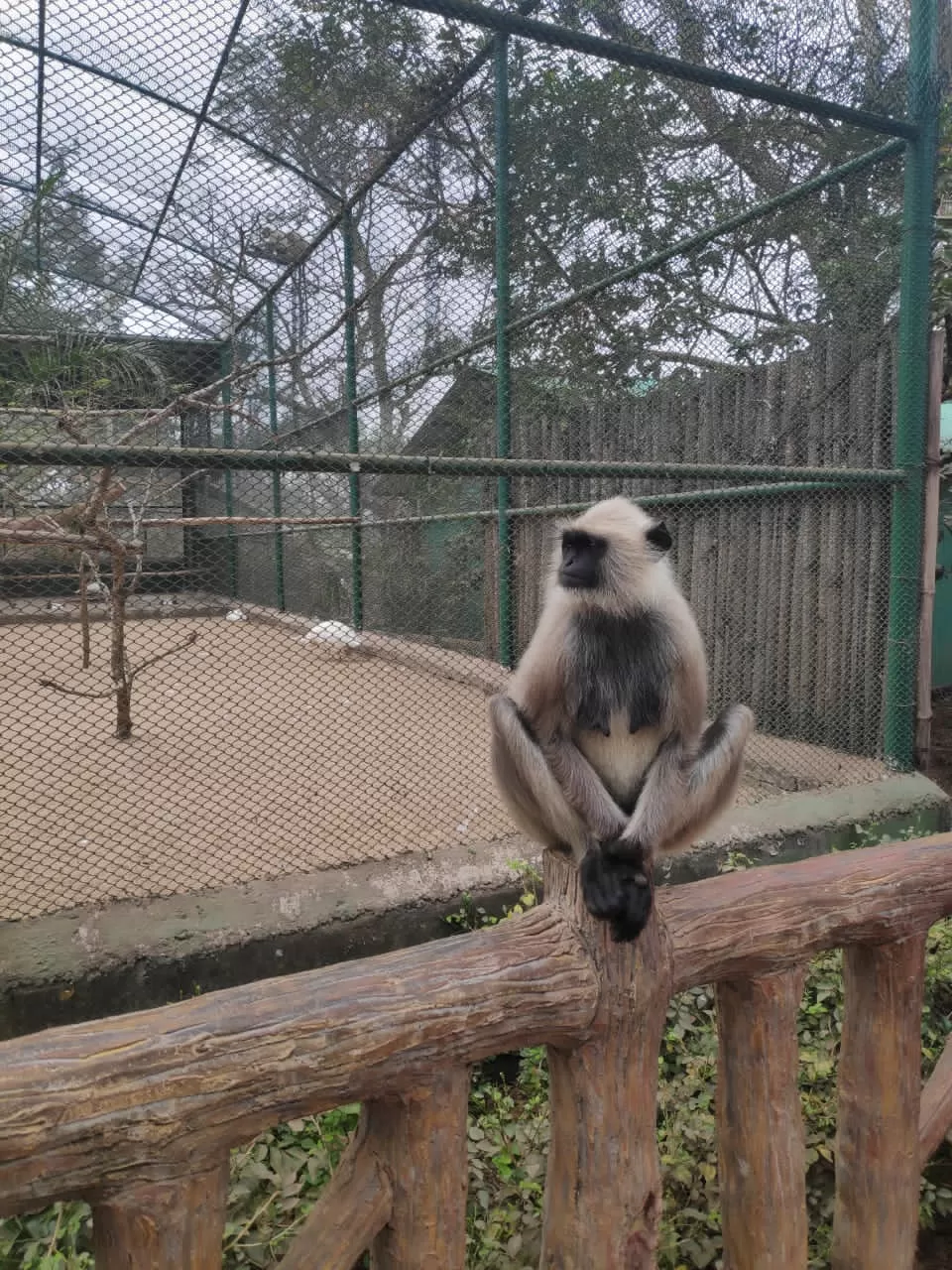 Photo of Nandankanan Zoological Park By Chandrika Pyne