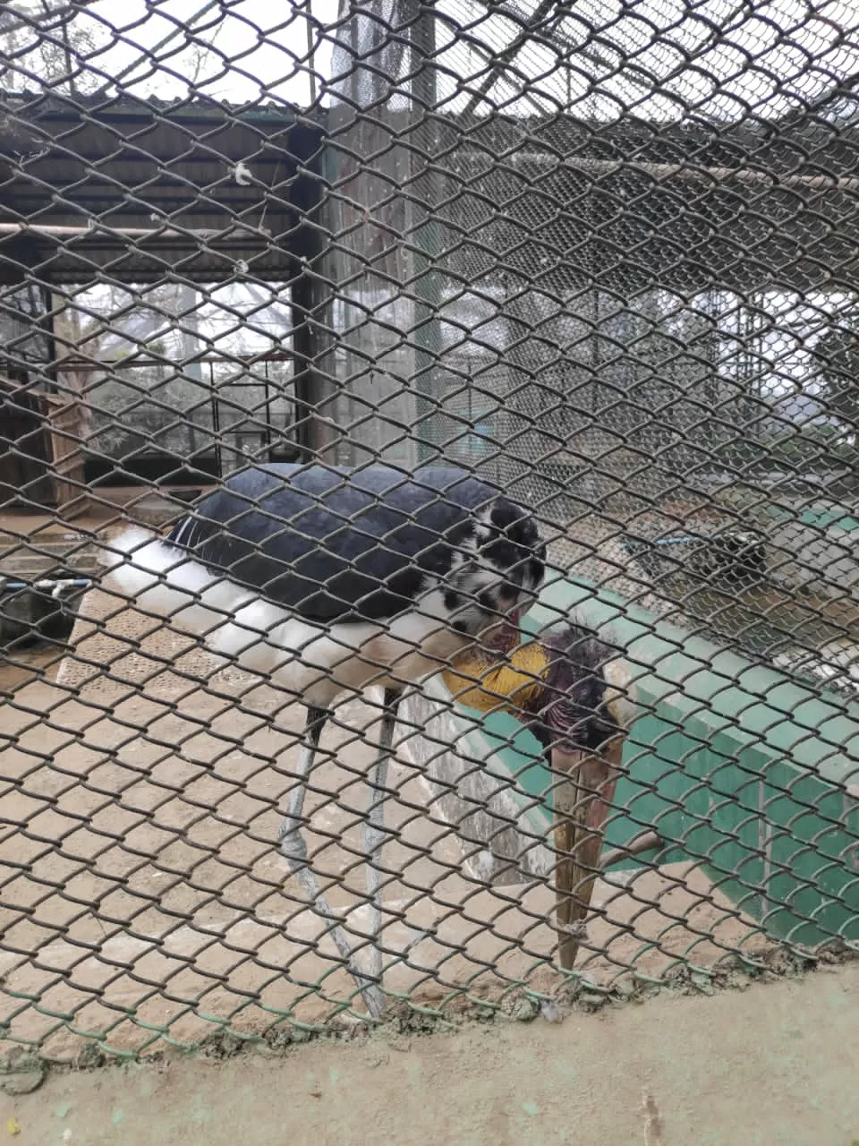 Photo of Nandankanan Zoological Park By Chandrika Pyne