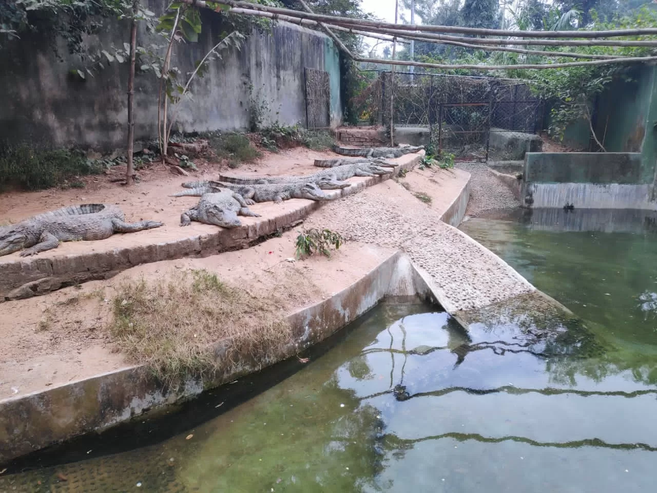 Photo of Nandankanan Zoological Park By Chandrika Pyne
