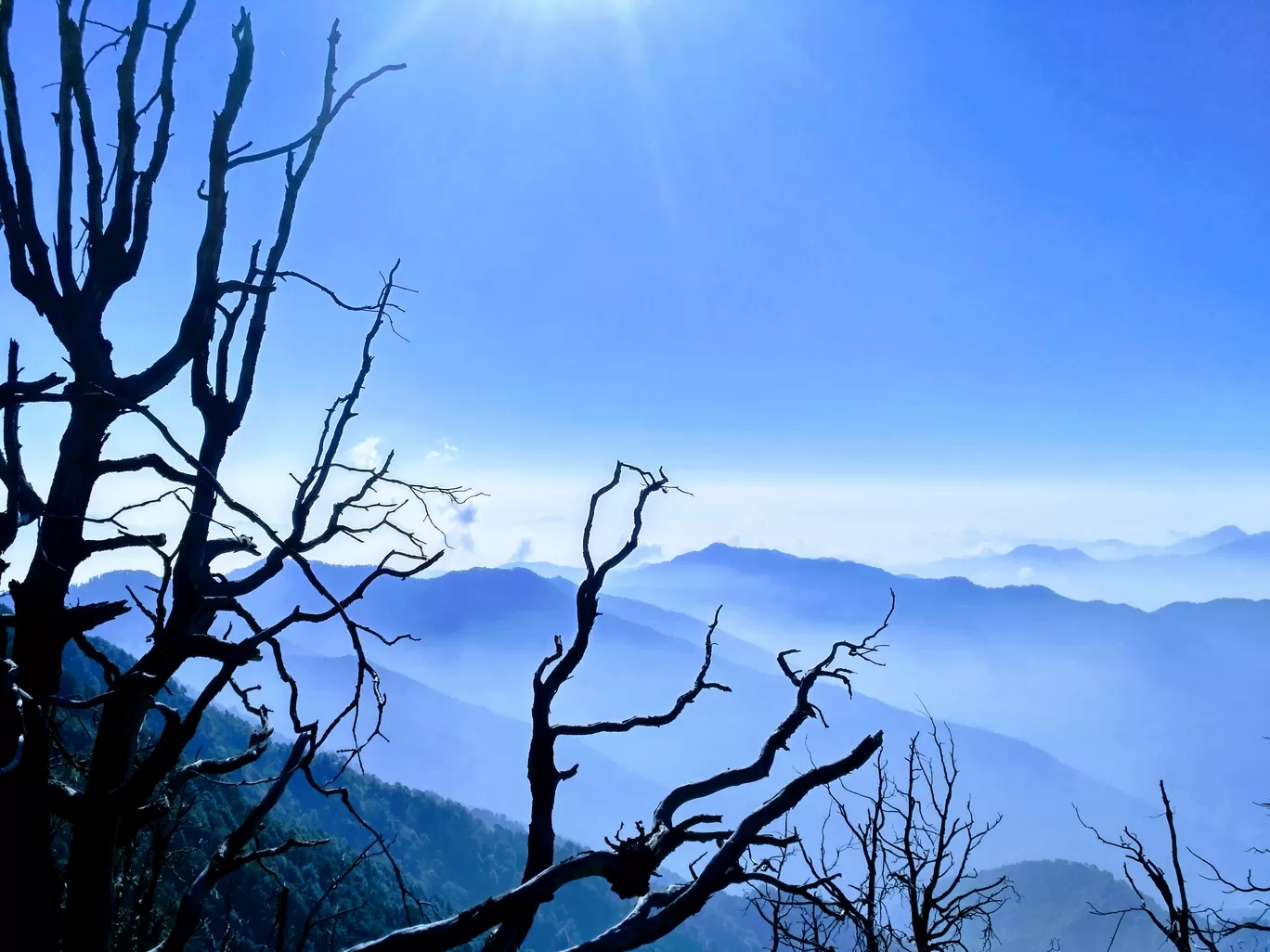 Photo of Nag Tibba By Sudhansu