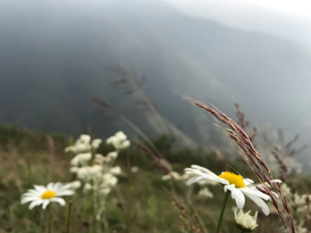 Photo of Nag Tibba By Sudhansu