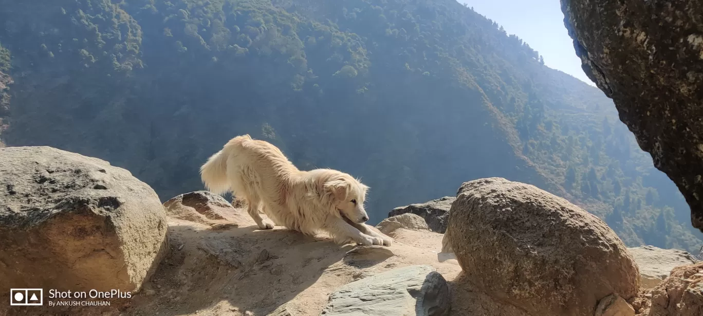 Photo of Dharamshala By Ankush Chauhan