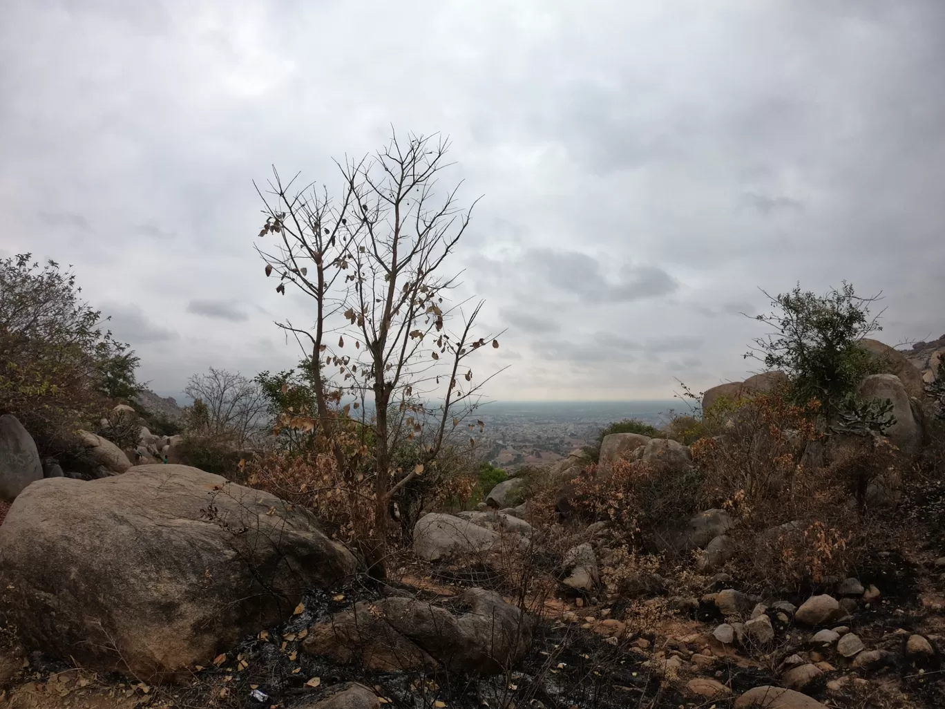 Photo of Antharagange Trekking Starting Point By GoPro Wanderer