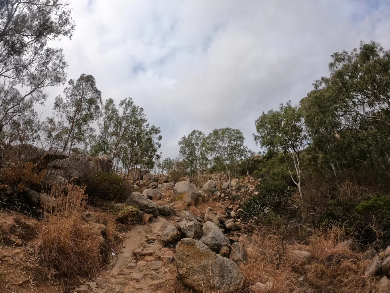 Photo of Antharagange Trekking Starting Point By GoPro Wanderer
