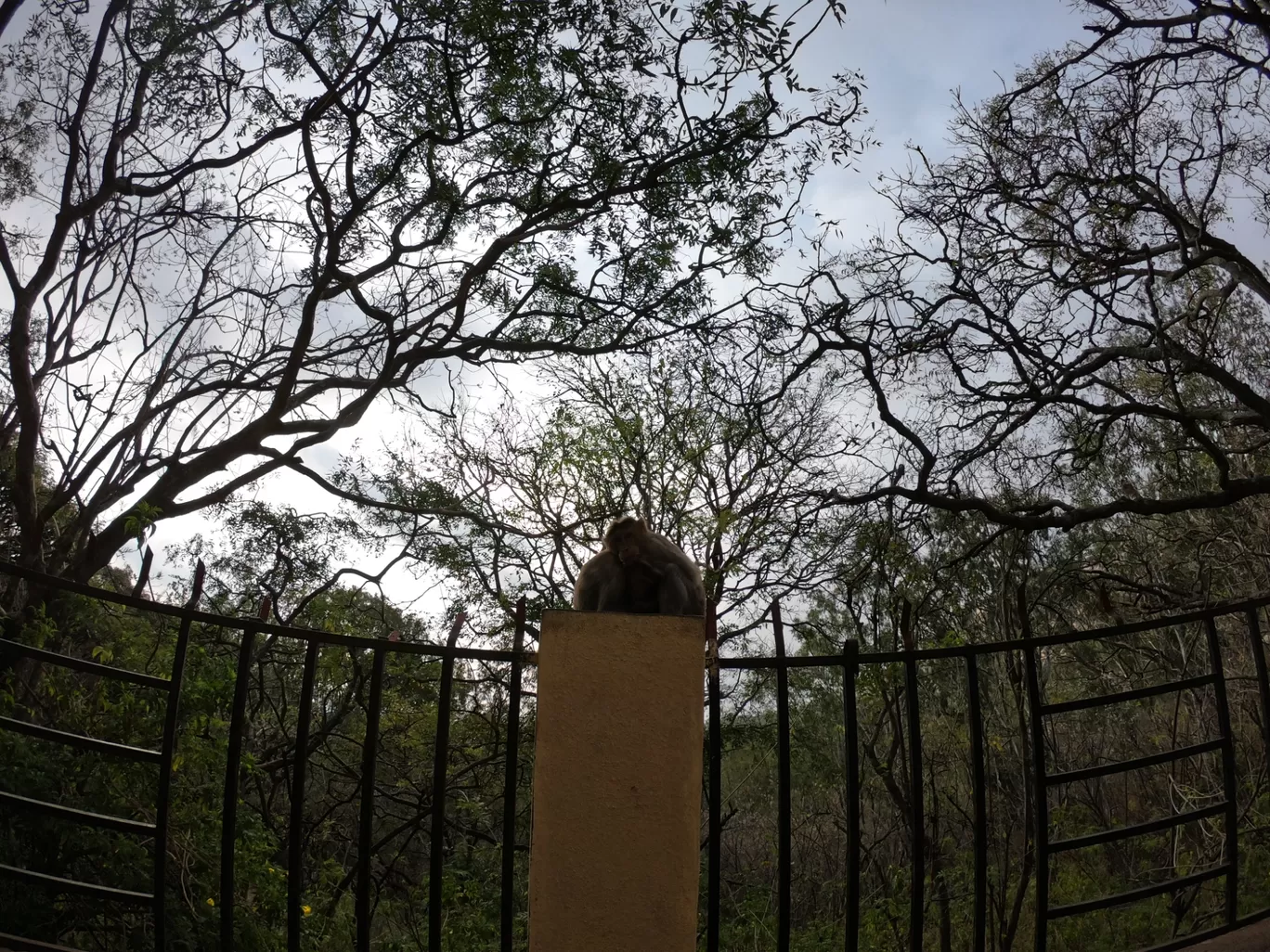 Photo of Antharagange Trekking Starting Point By GoPro Wanderer