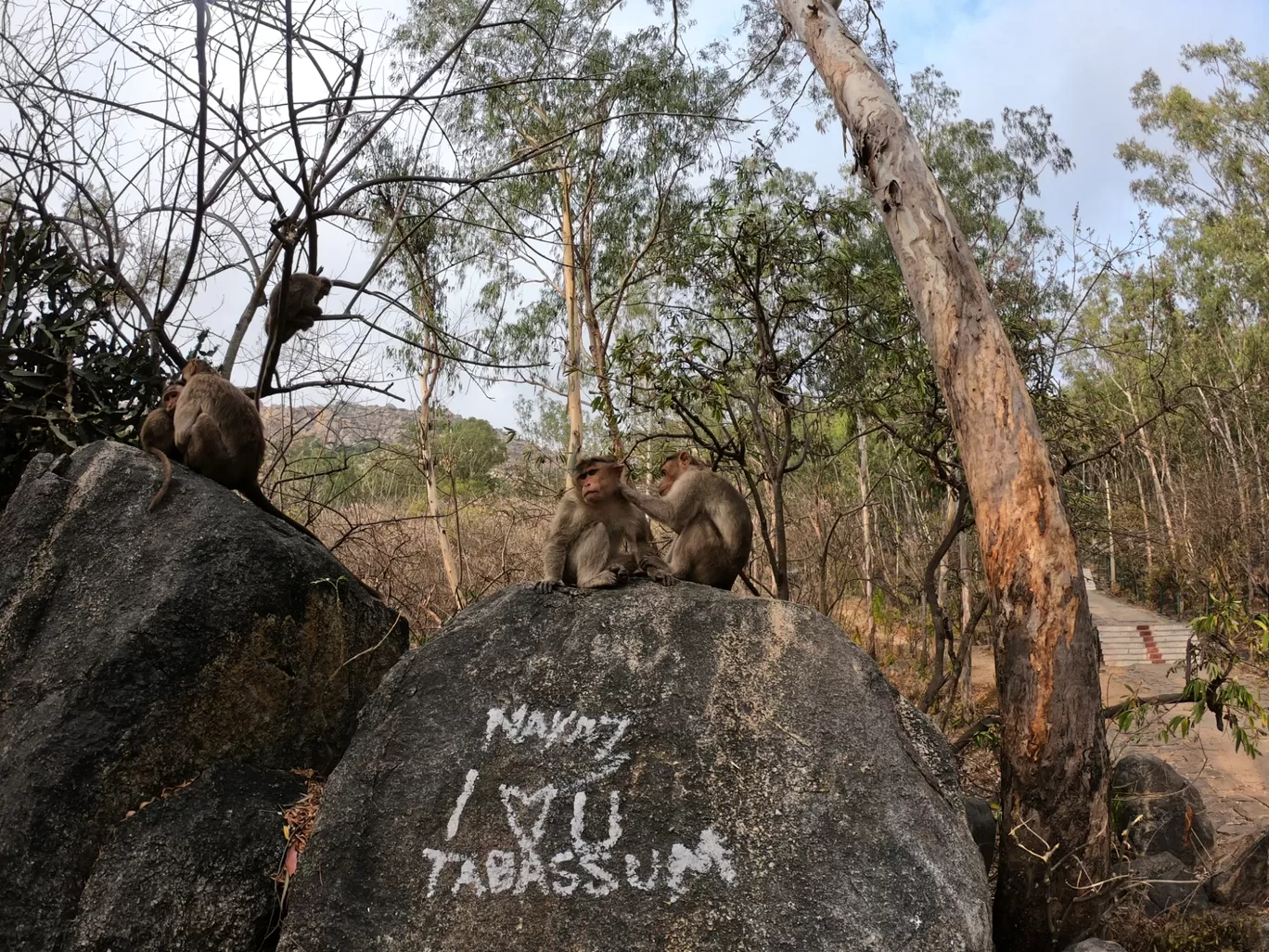 Photo of Antharagange Trekking Starting Point By GoPro Wanderer