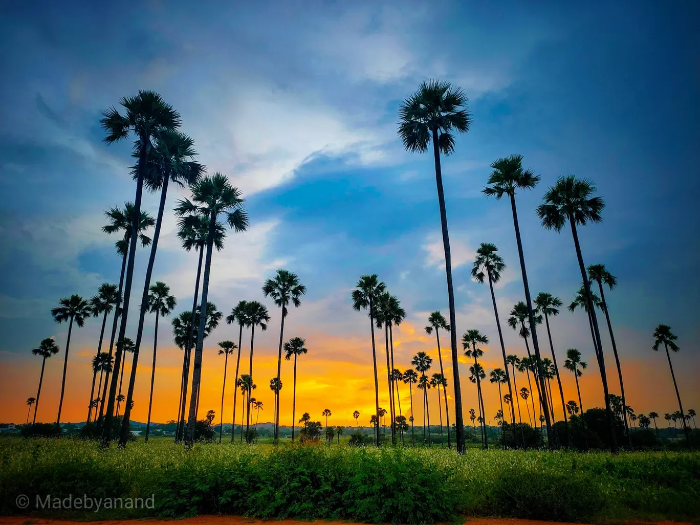 Photo of Rachakonda By Anandkumaar