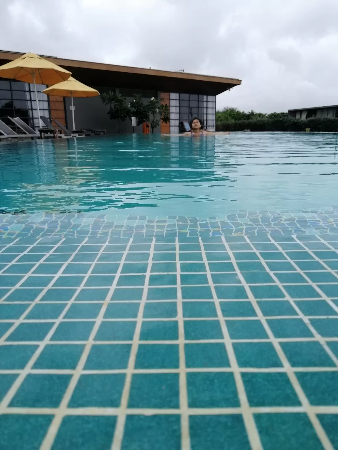 Photo of Sula Vineyards By Siddharth Choudhary