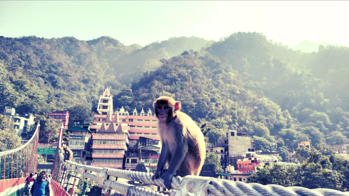 Photo of Dehradun By Deepak Singh Negi