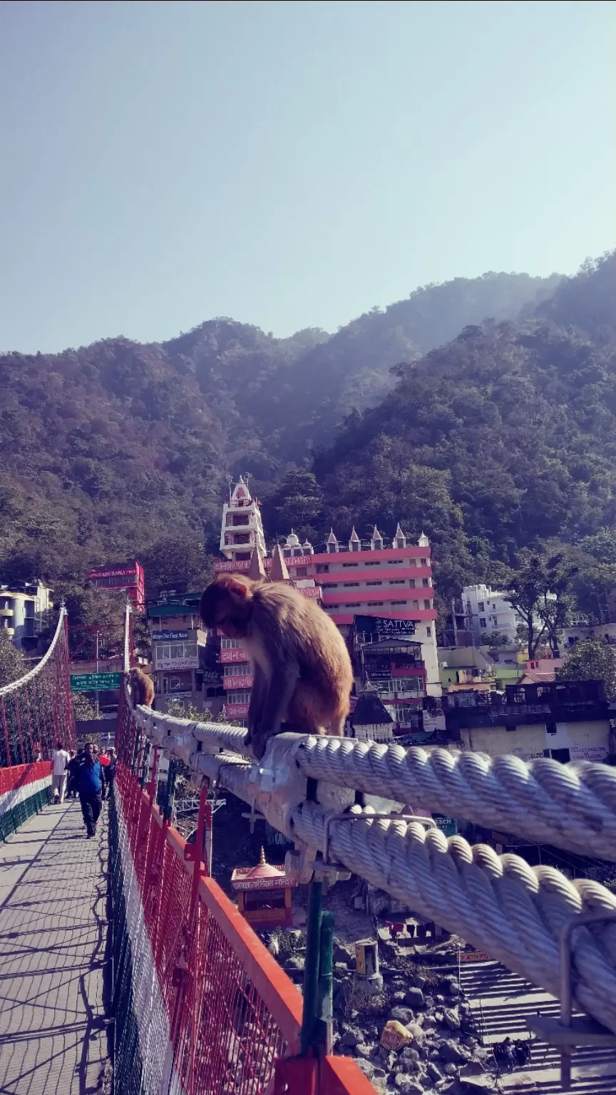 Photo of Dehradun By Deepak Singh Negi