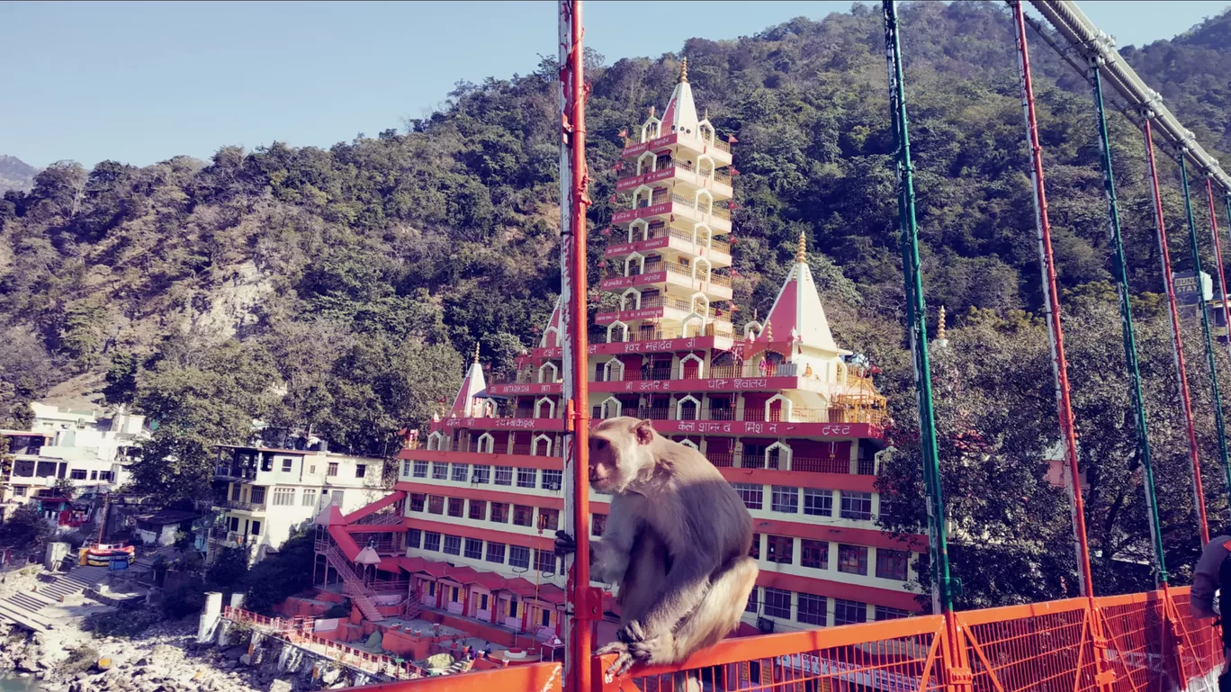 Photo of Dehradun By Deepak Singh Negi