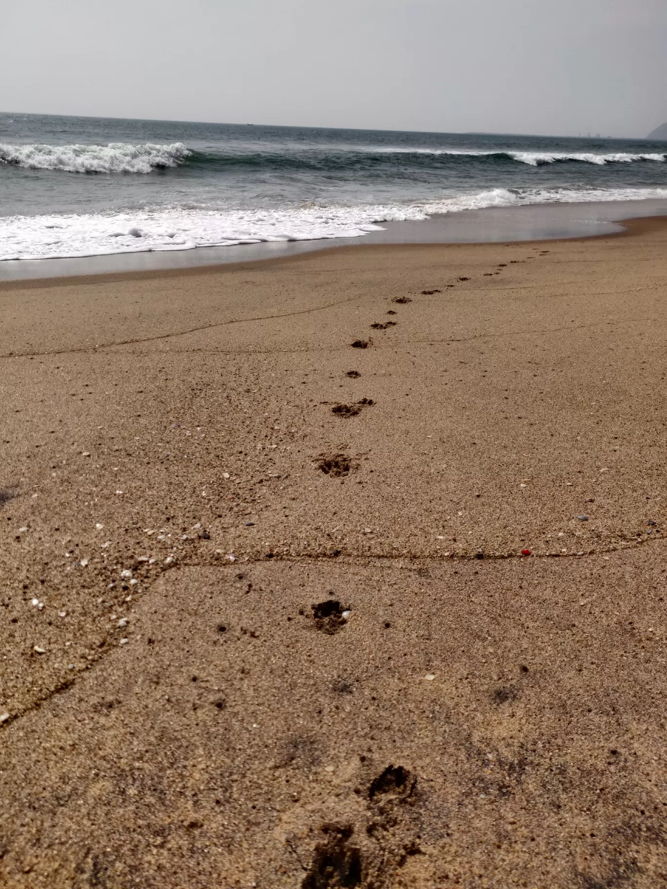 Photo of Vizag By Sukruti Gandham