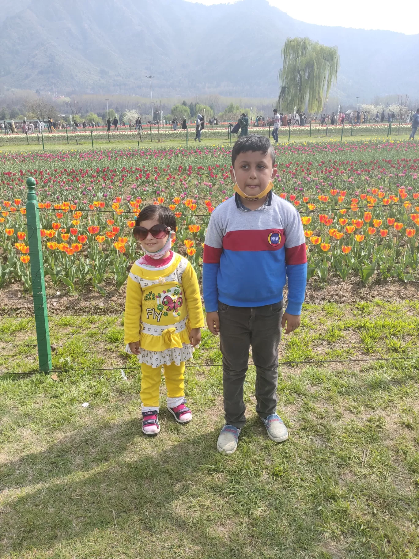 Photo of Tulip Garden By Sourav Bhagotra