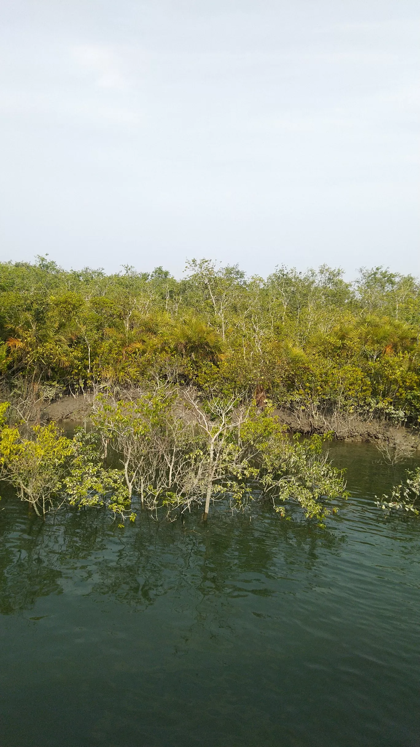 Photo of Sundarban National Park By Samapti Rooj